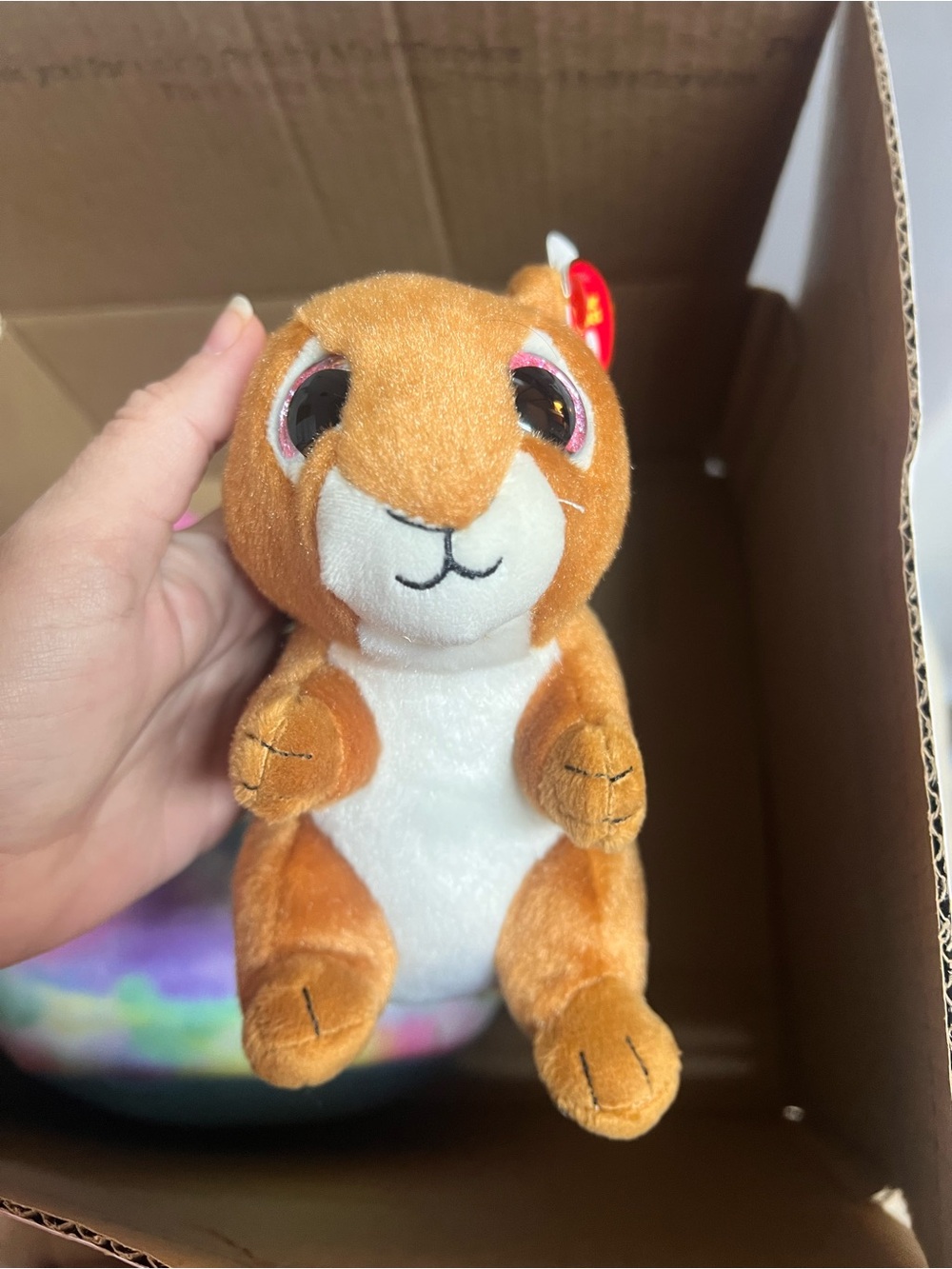 Ty Brown and White Small Plush Squirrel with Pink-Eyed Detail